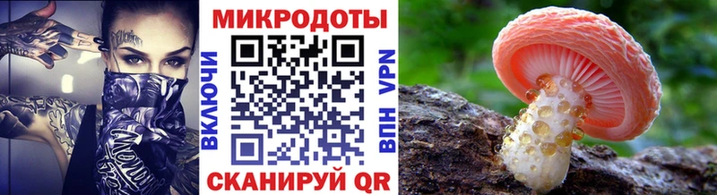Псилоцибиновые грибы мицелий  Кукмор 